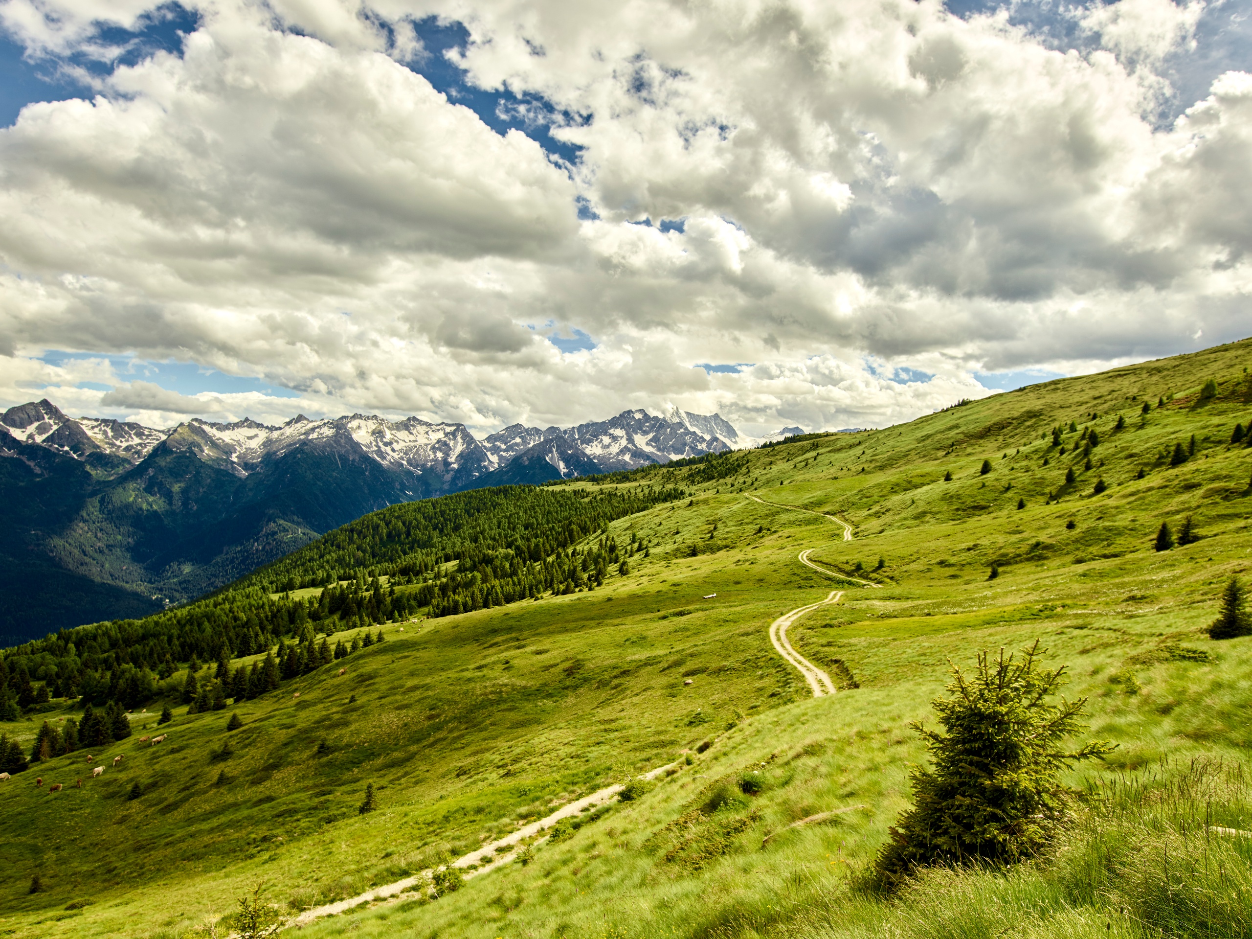 Andar per Monti - Alta Via degli Alpeggi