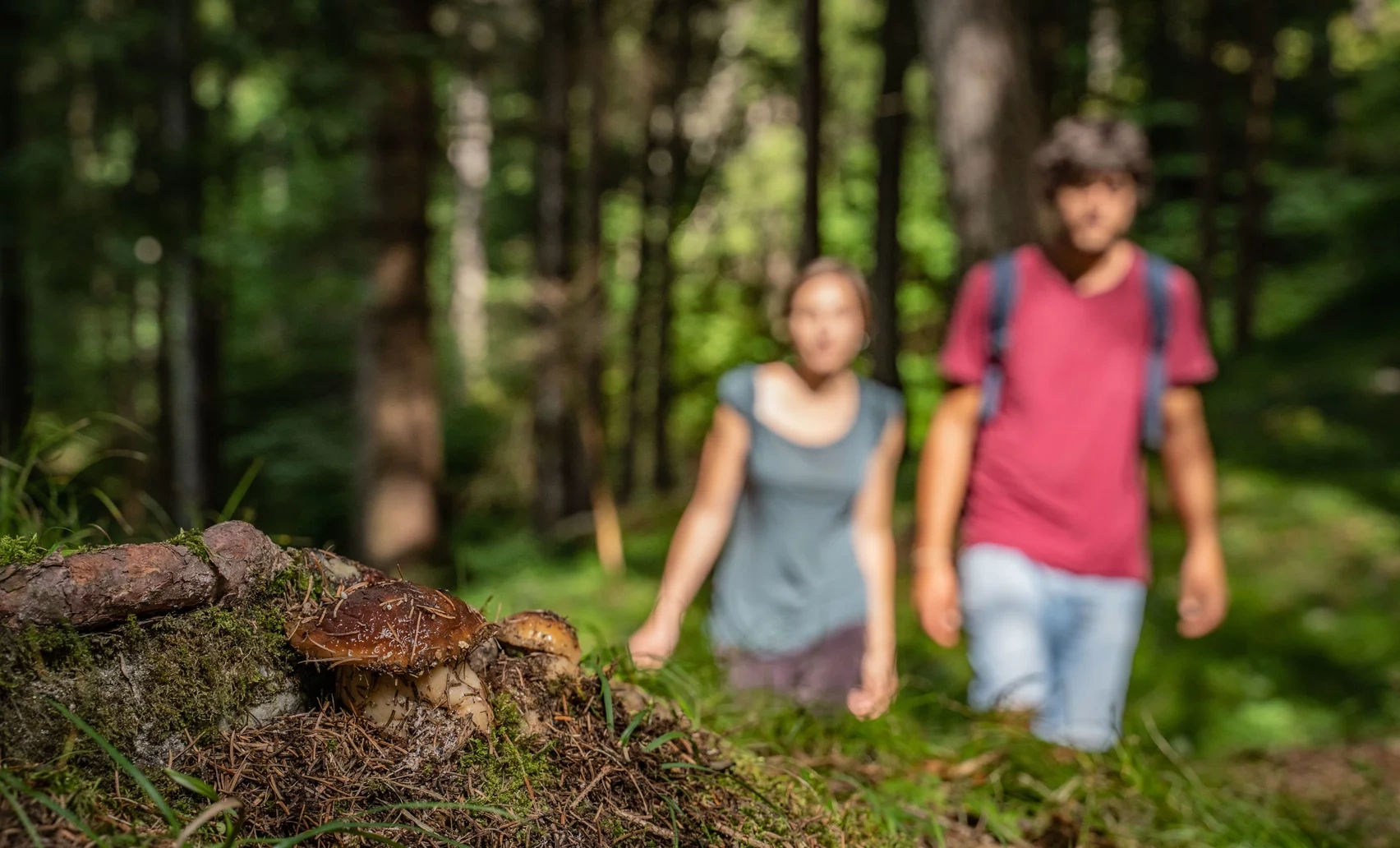 Cosa mettiamo nel cestino?