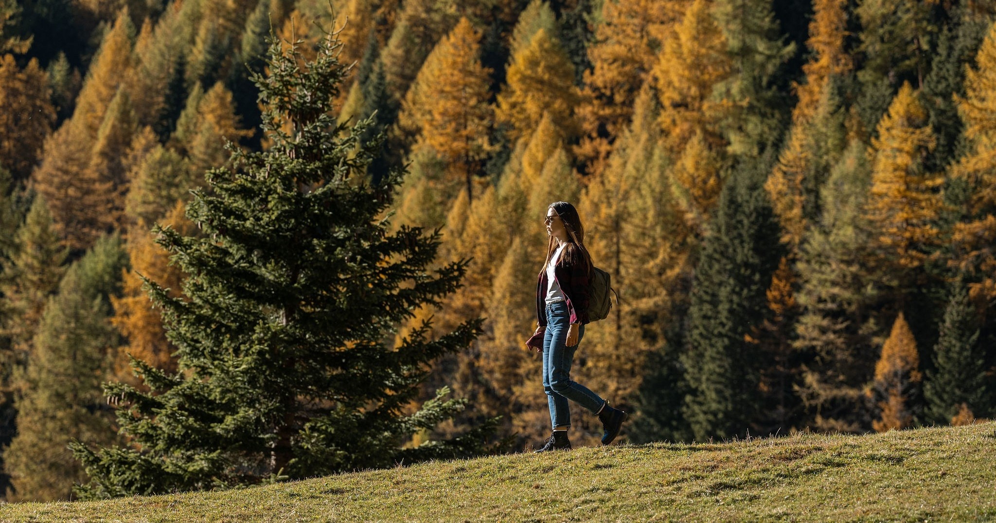 Gli animali e i colori dell’autunno