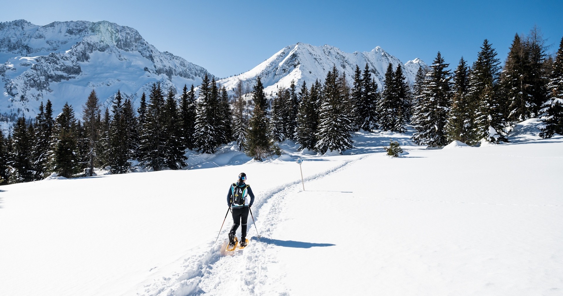 Andar per Monti - Altiporto Tonale