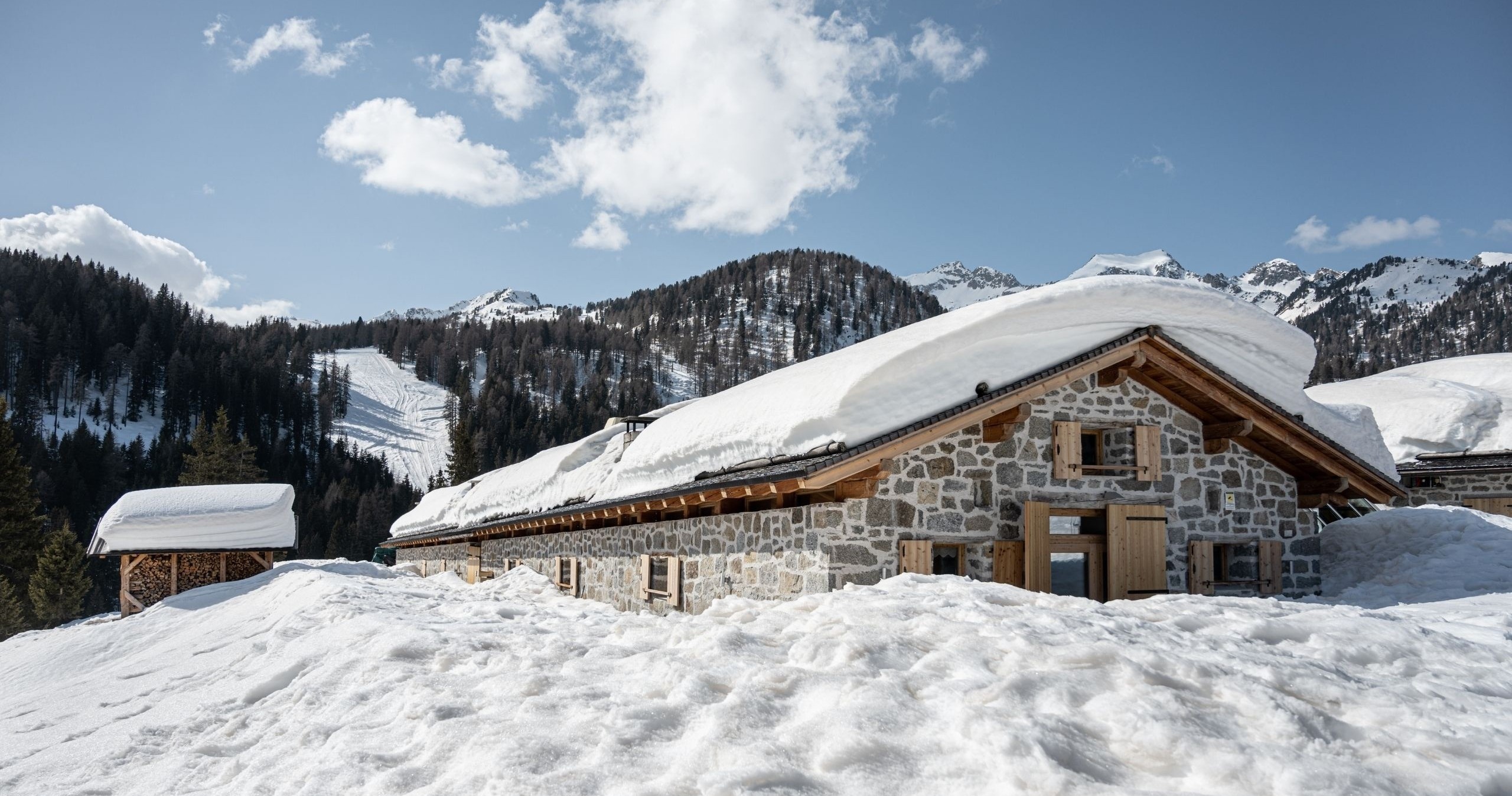 Andar per Monti - Malga Dimaro - Baita Ciocomiti