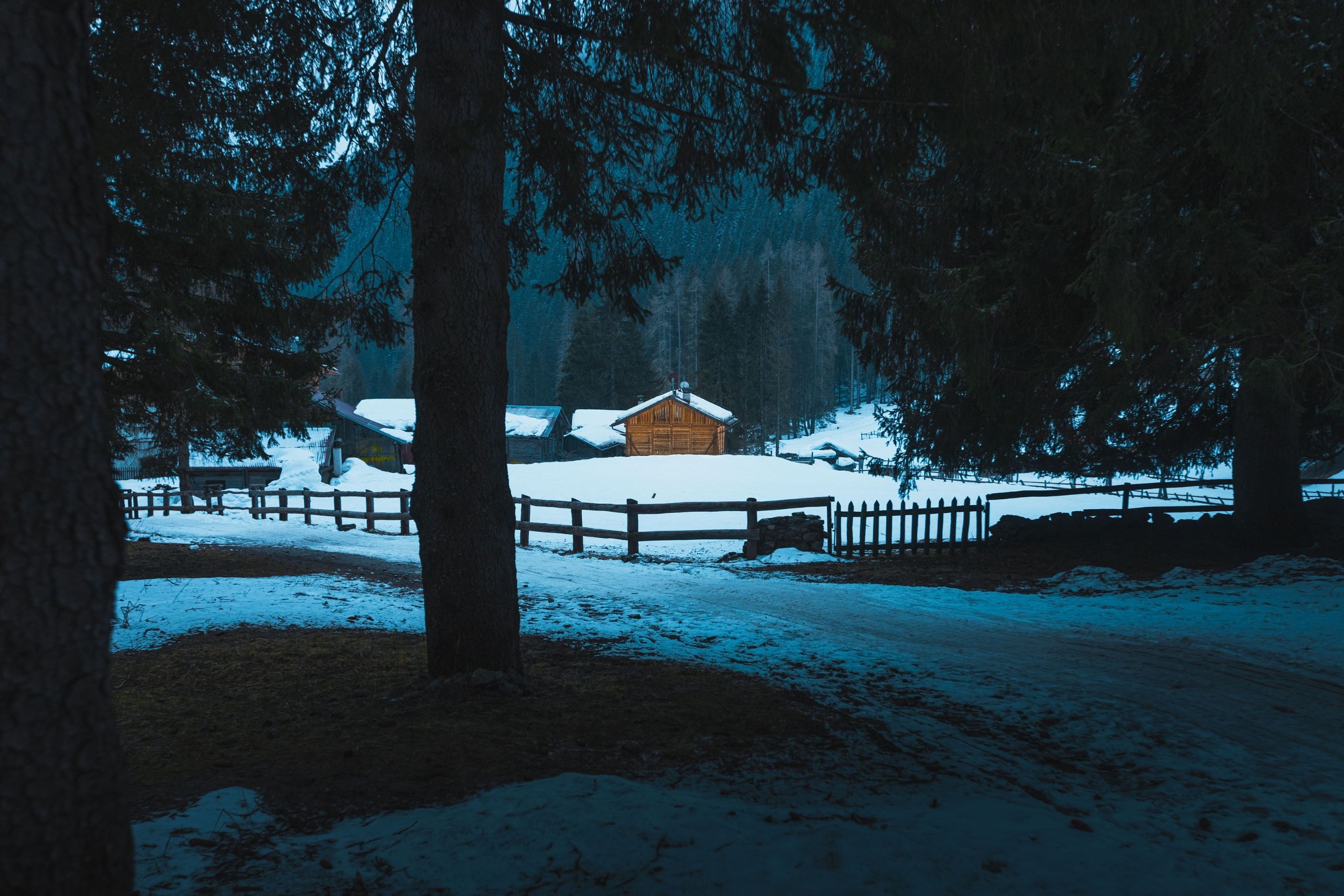 Scrutando tra i boschi: un'escursione con la termocamera