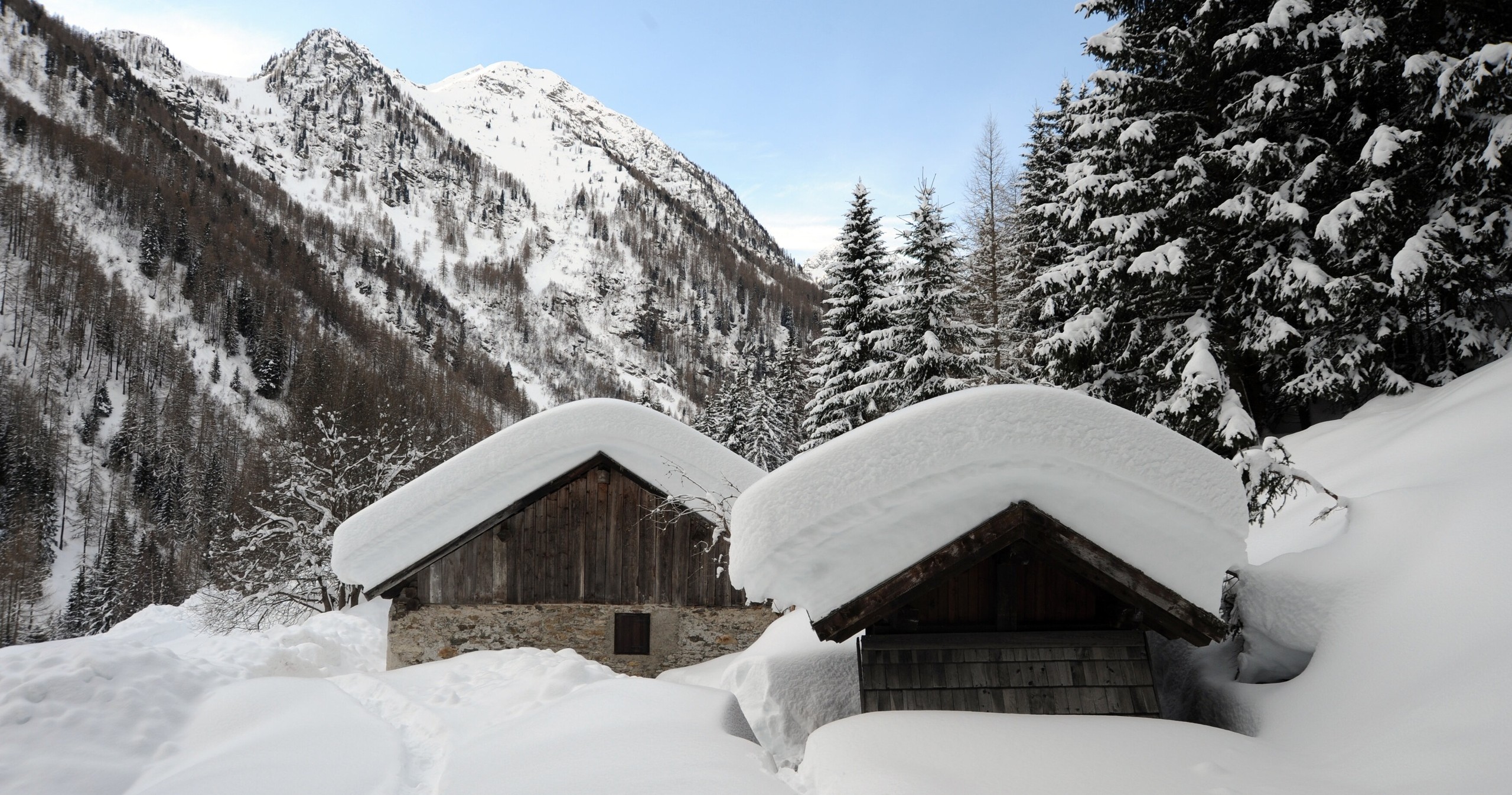 Andar per Monti  - La montagna si veste di bianco: è l'inverno - Peio