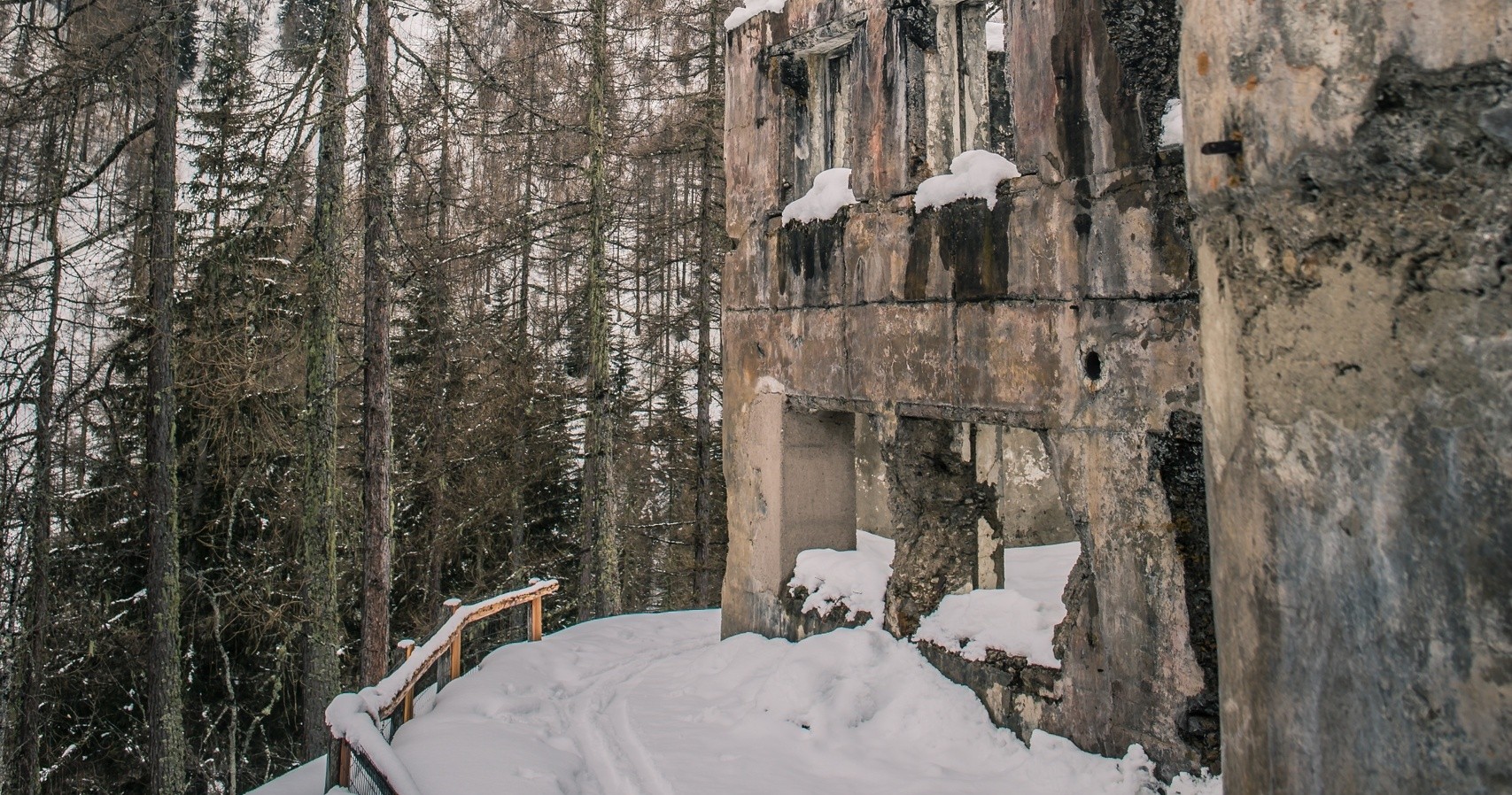 Nello sguardo della Grande Guerra - Speciale Parco dello Stelvio