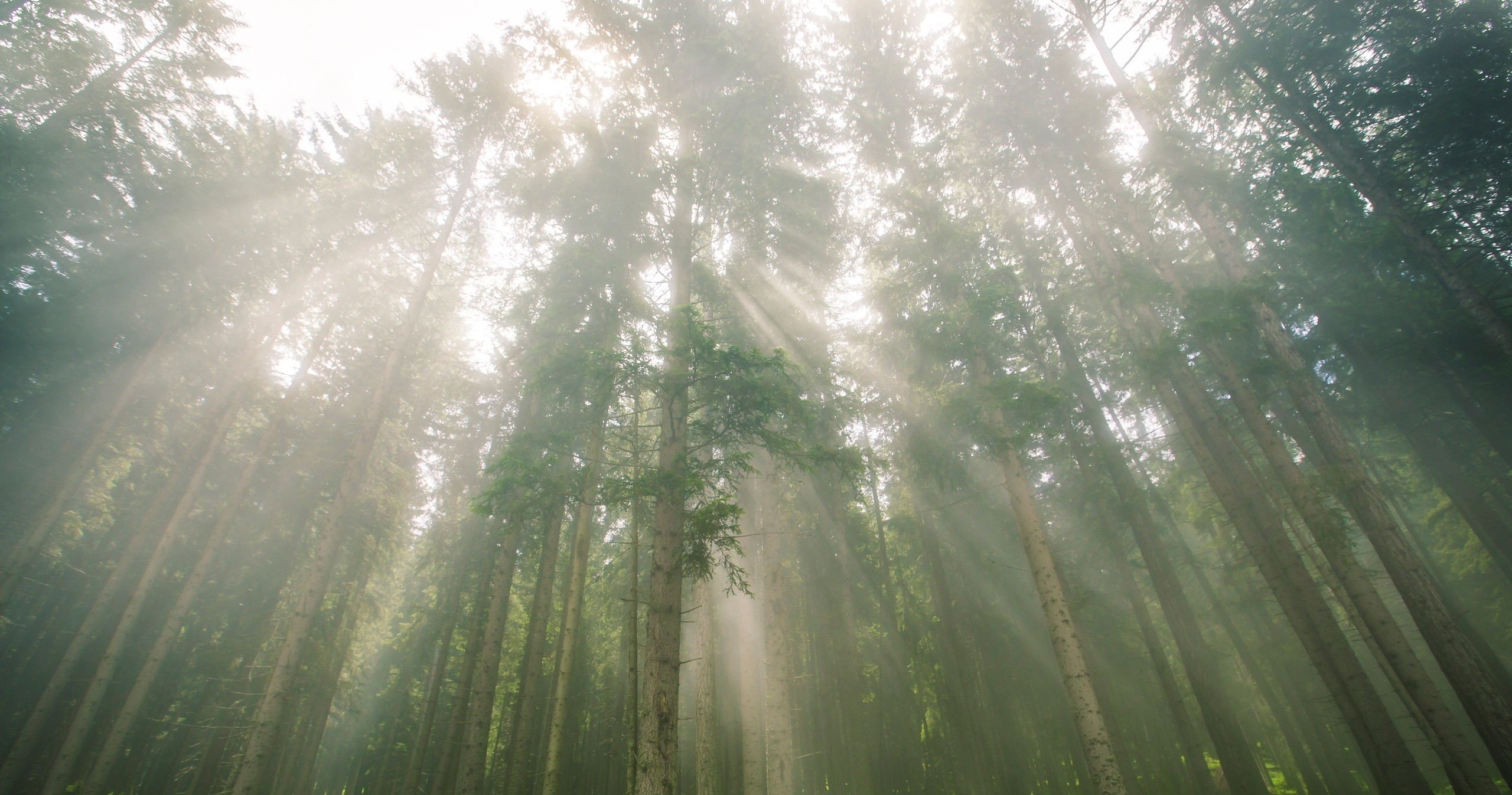 Alla scoperta della biodiversità • Speciale Parco dello Stelvio