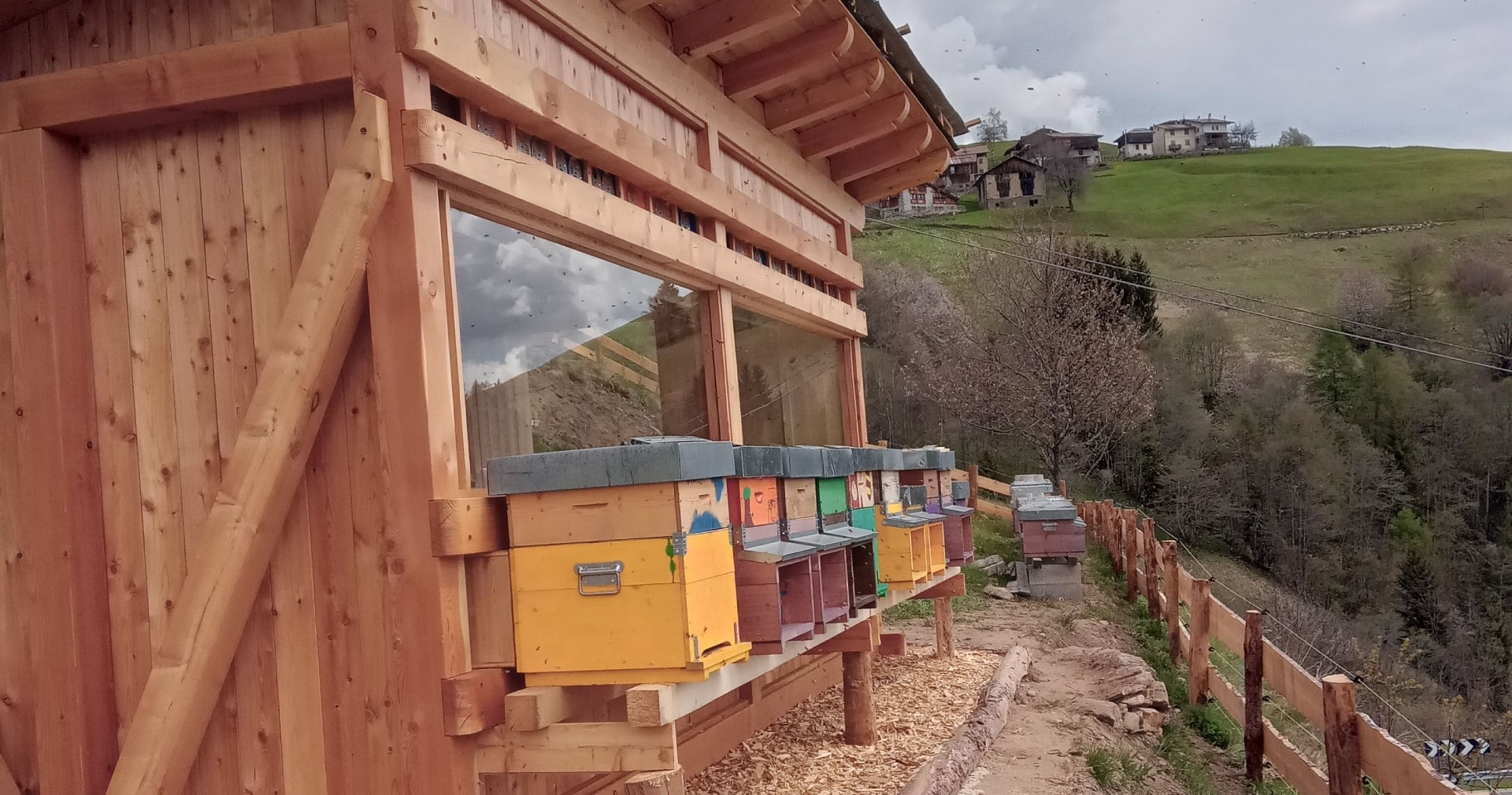 Un ronzio rilassante