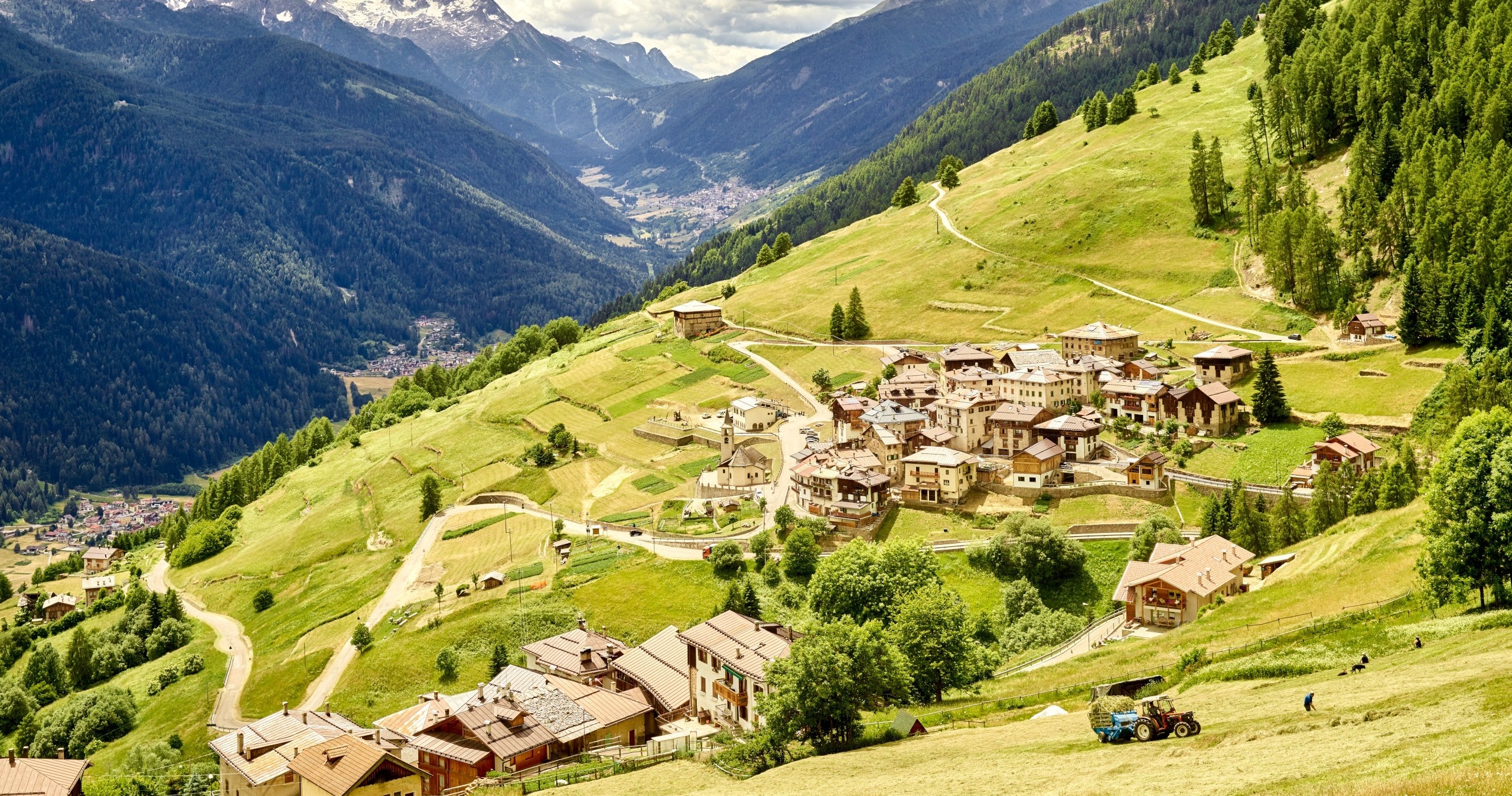 Pastore per un giorno