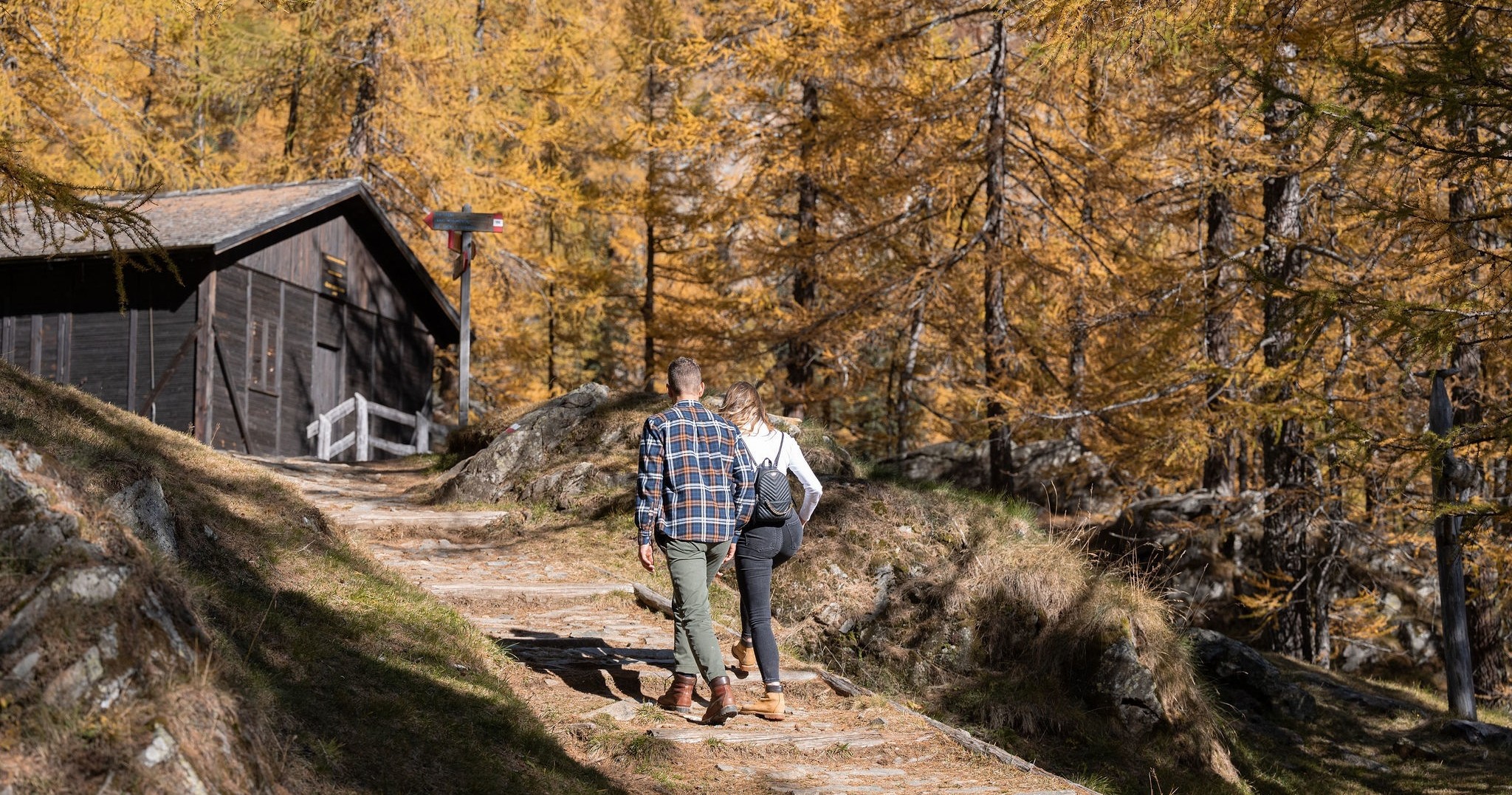 Alla scoperta dei boschi • Speciale Parco dello Stelvio