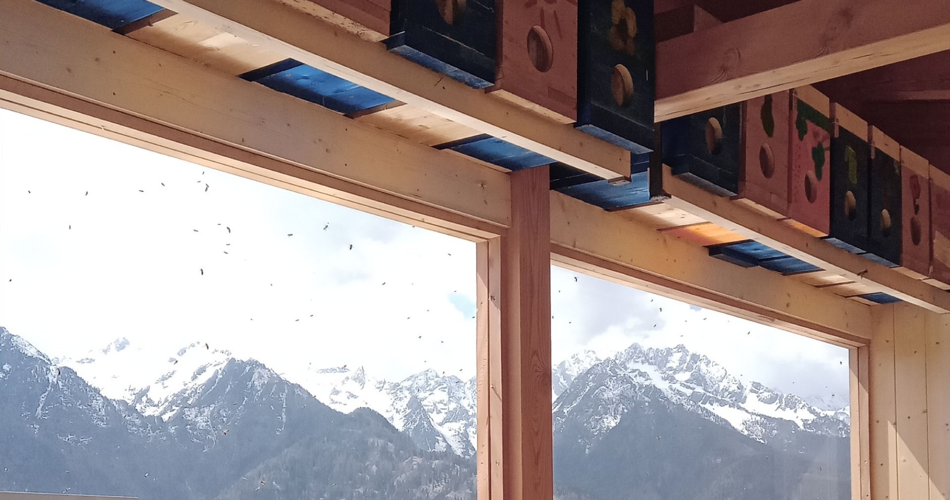 Dal legno... un'arnia di miele