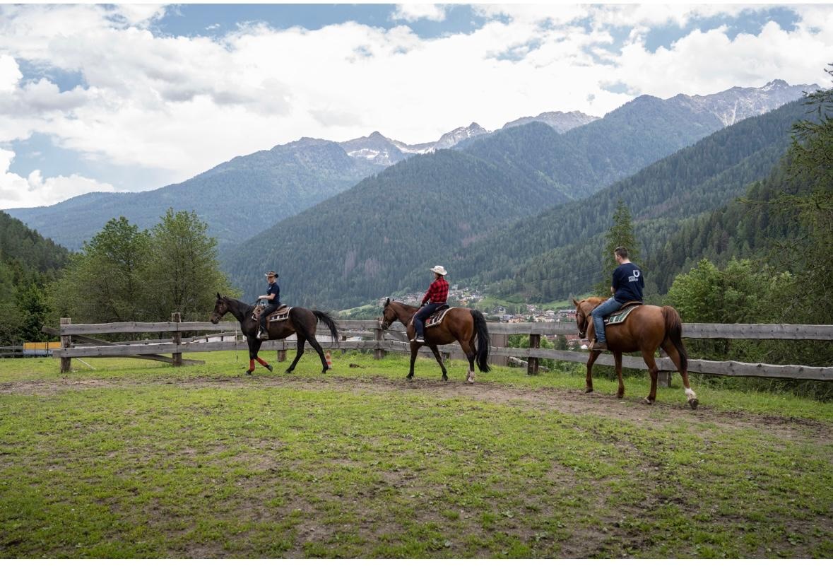 Un cavallo per amico