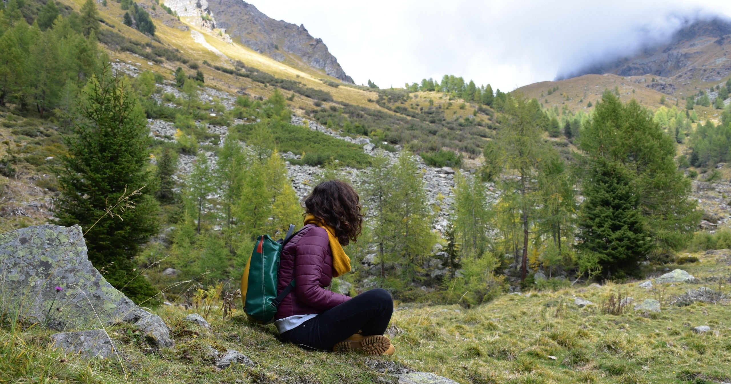 Gli ecosistemi alpini • Speciale Parco dello Stelvio