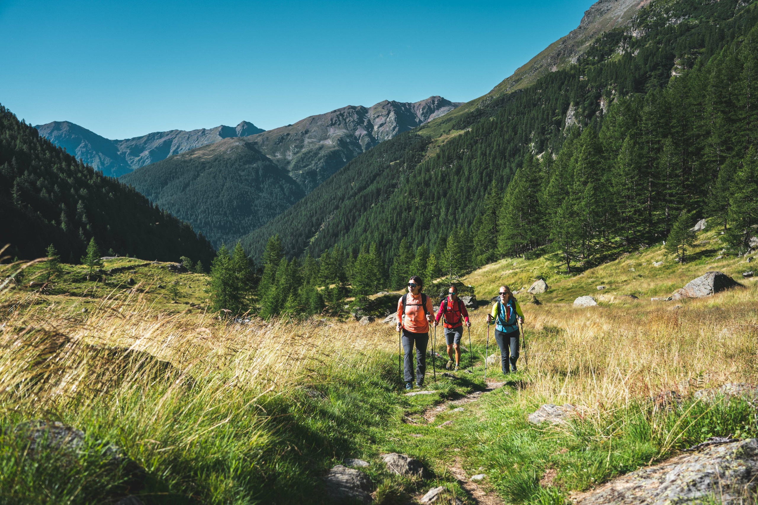 Andar per Monti - Bait Mandria Buse