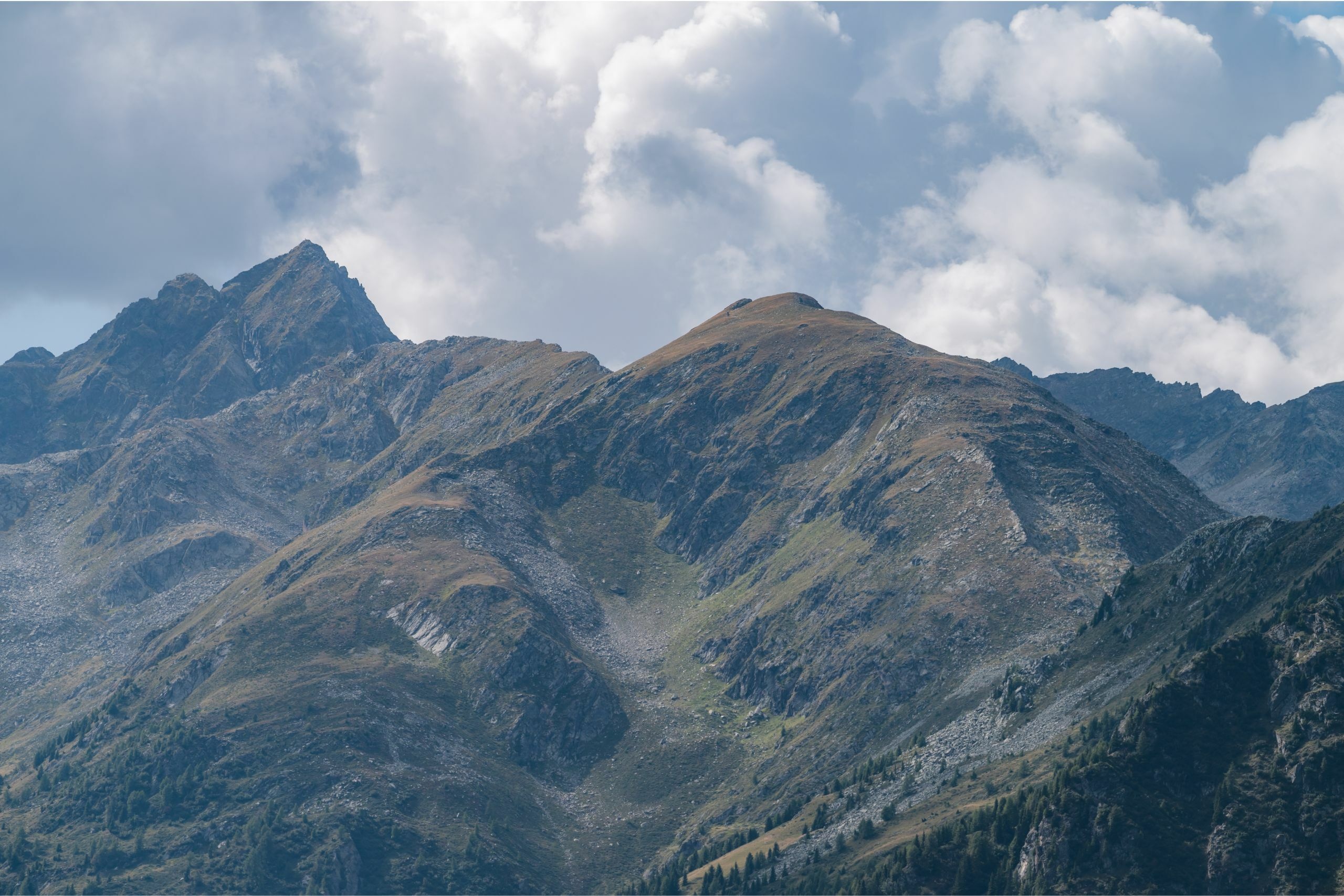 Andar per Monti - Cima Vesa