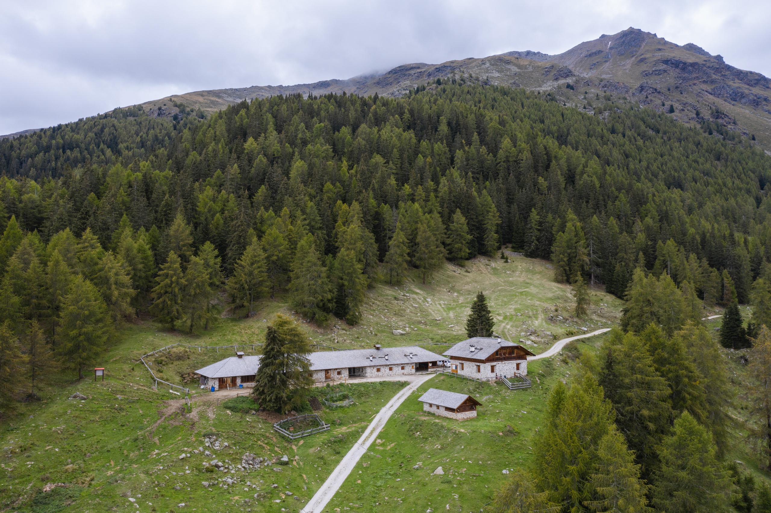 Andar per Monti - Malghe Palù e Caldesa