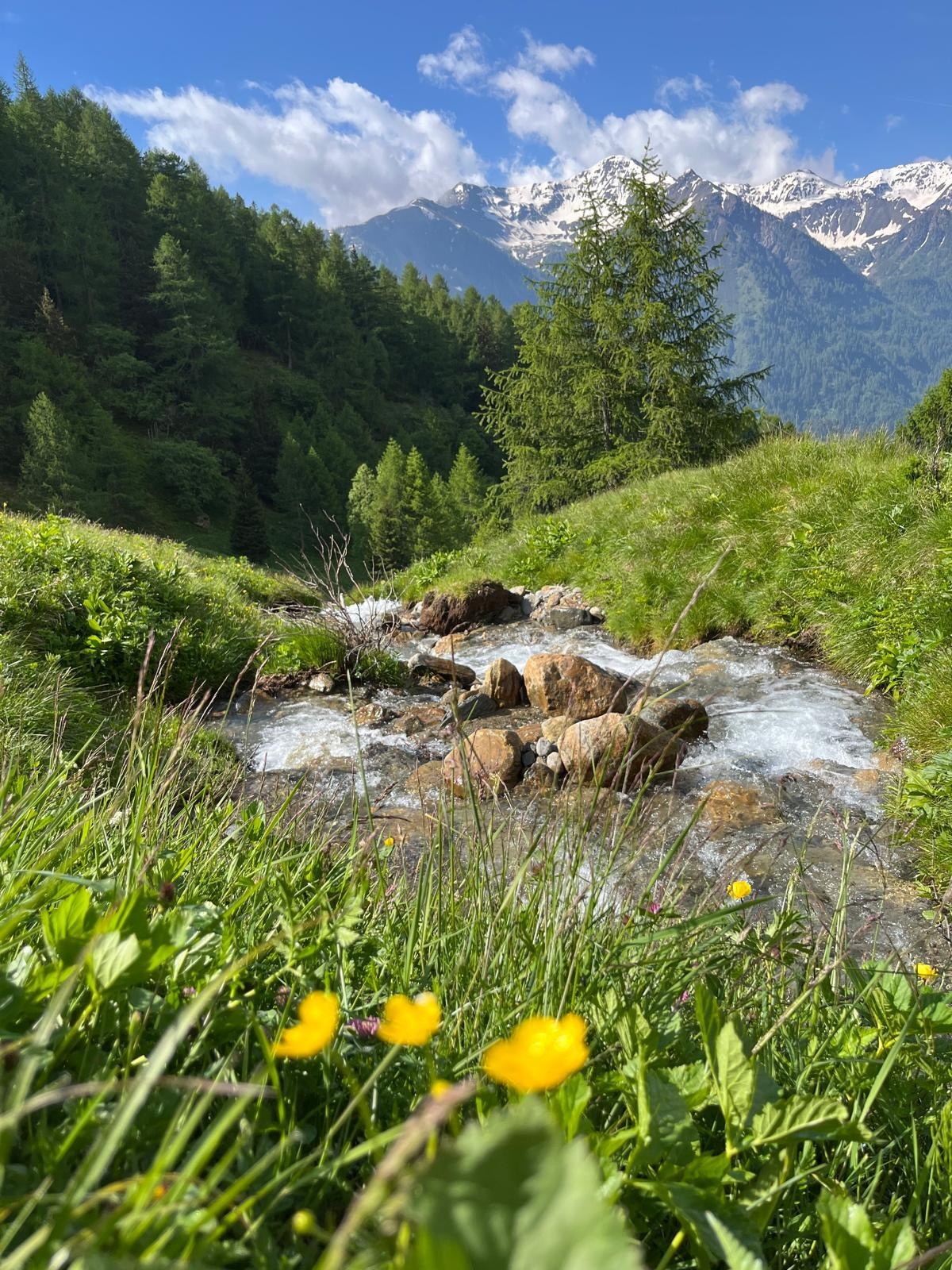 Digital Wellness - Sorsi di Natura nel Parco