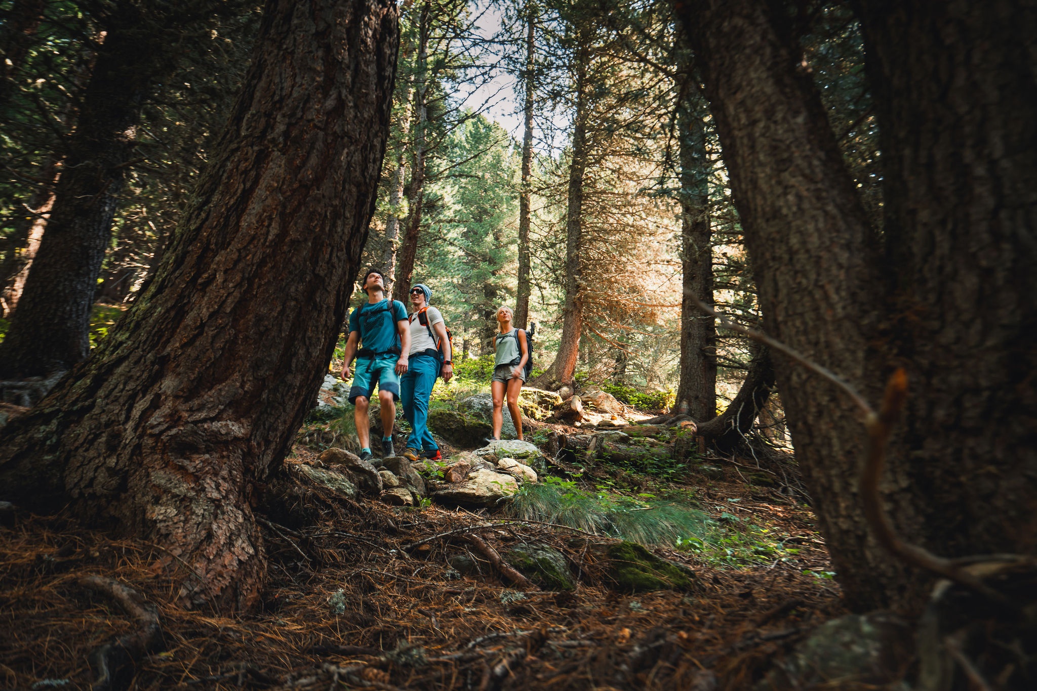 Escursione WOW, che bel gesto!