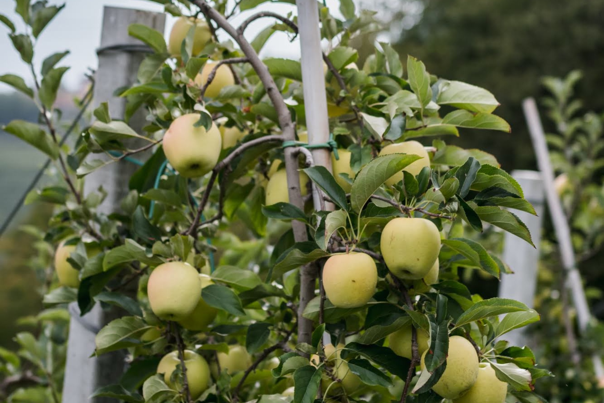 Degustando...a tutta birra