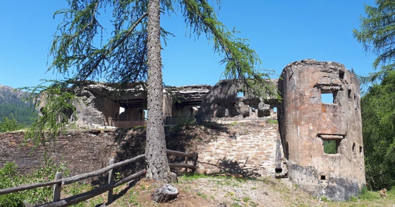Barba di Fior che ferrata!