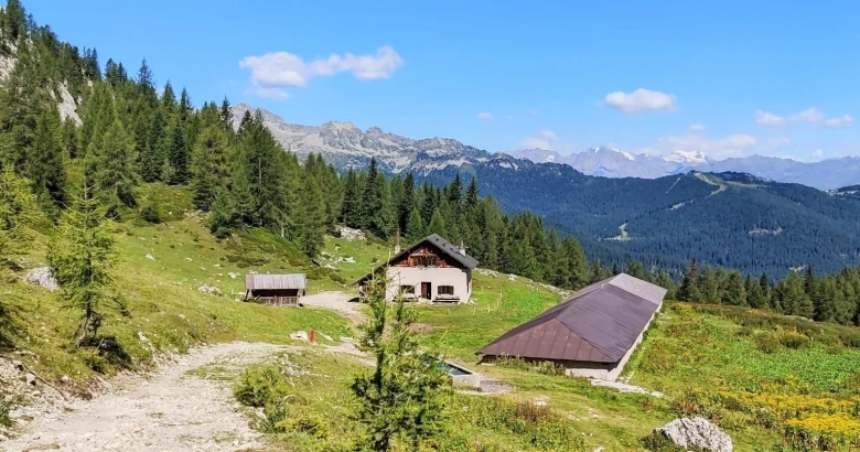 Andar per Monti - Malga Vagliana, ai piedi degli orti della Regina