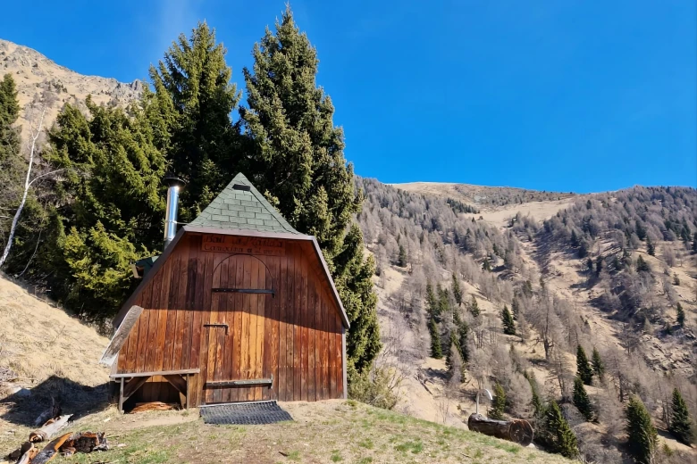 Andar per Monti - I larici della Tegia e il Bait del Germano