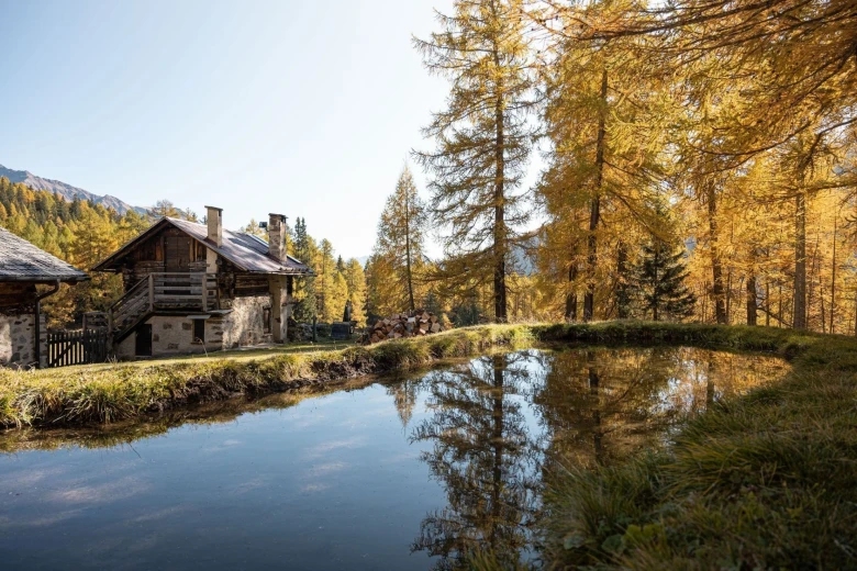 Gli animali e i colori dell’autunno