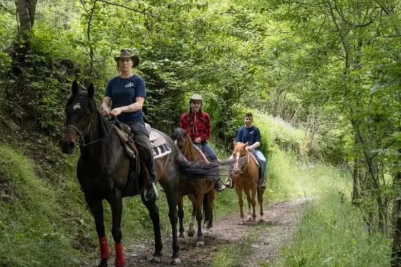 Un cavallo per amico