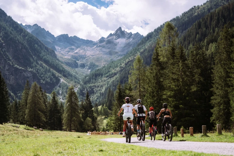 Wild e-bike: orizzonti a Malga del Doss